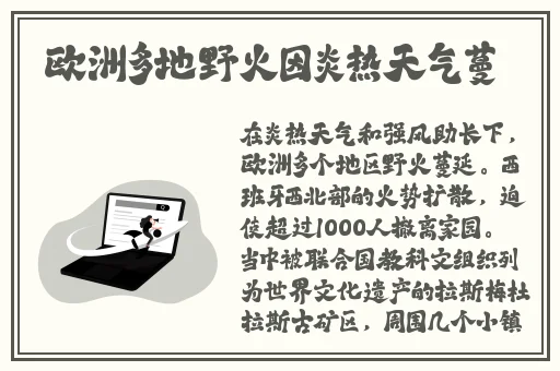 我是苏畅我回来了系列